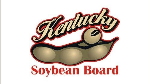 Soybean